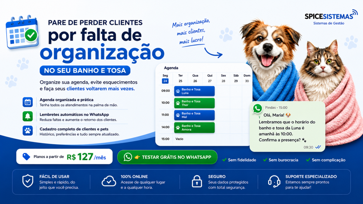 organizacao4